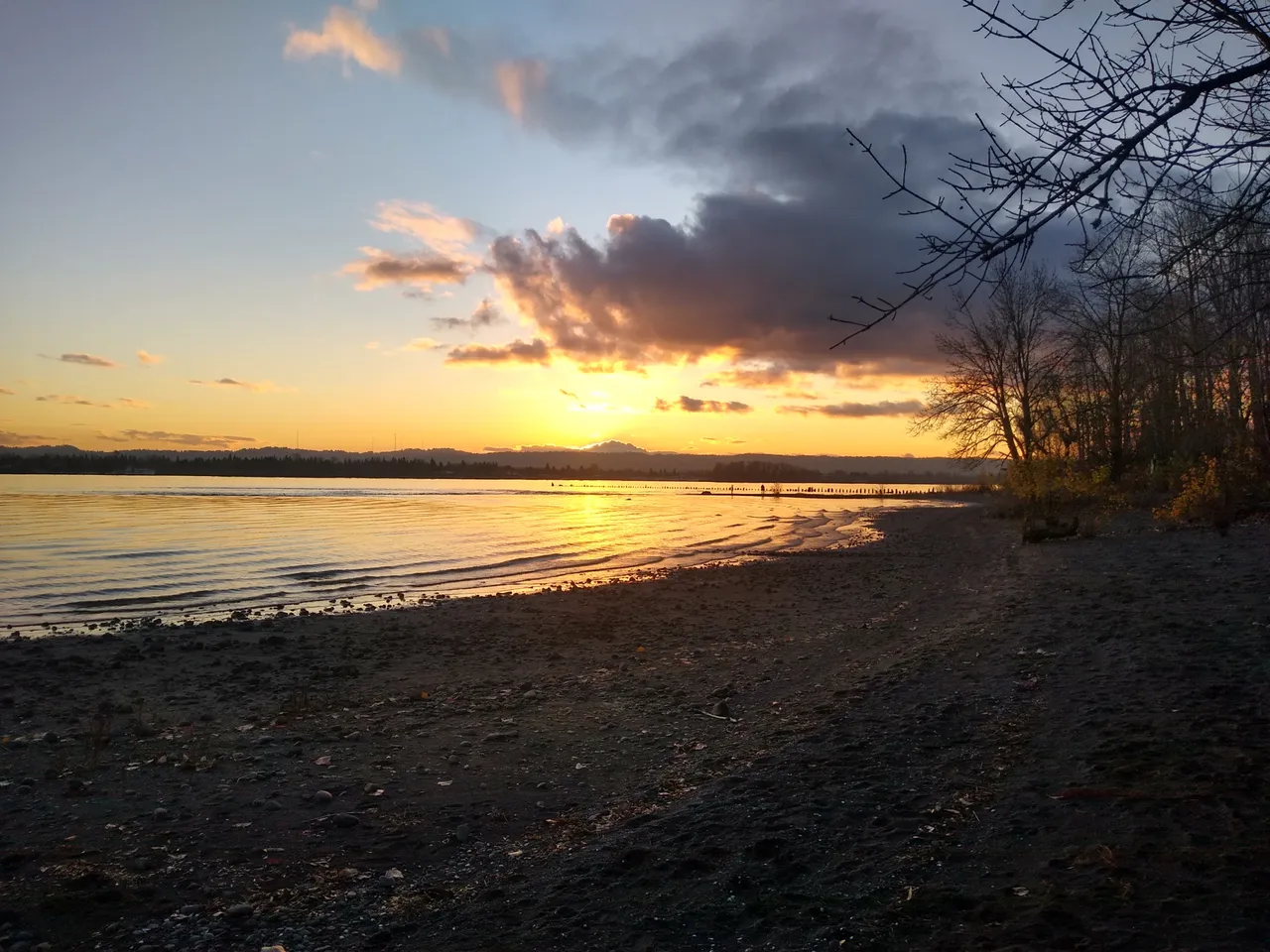 IMG_20201209_161051019_HDR.jpg