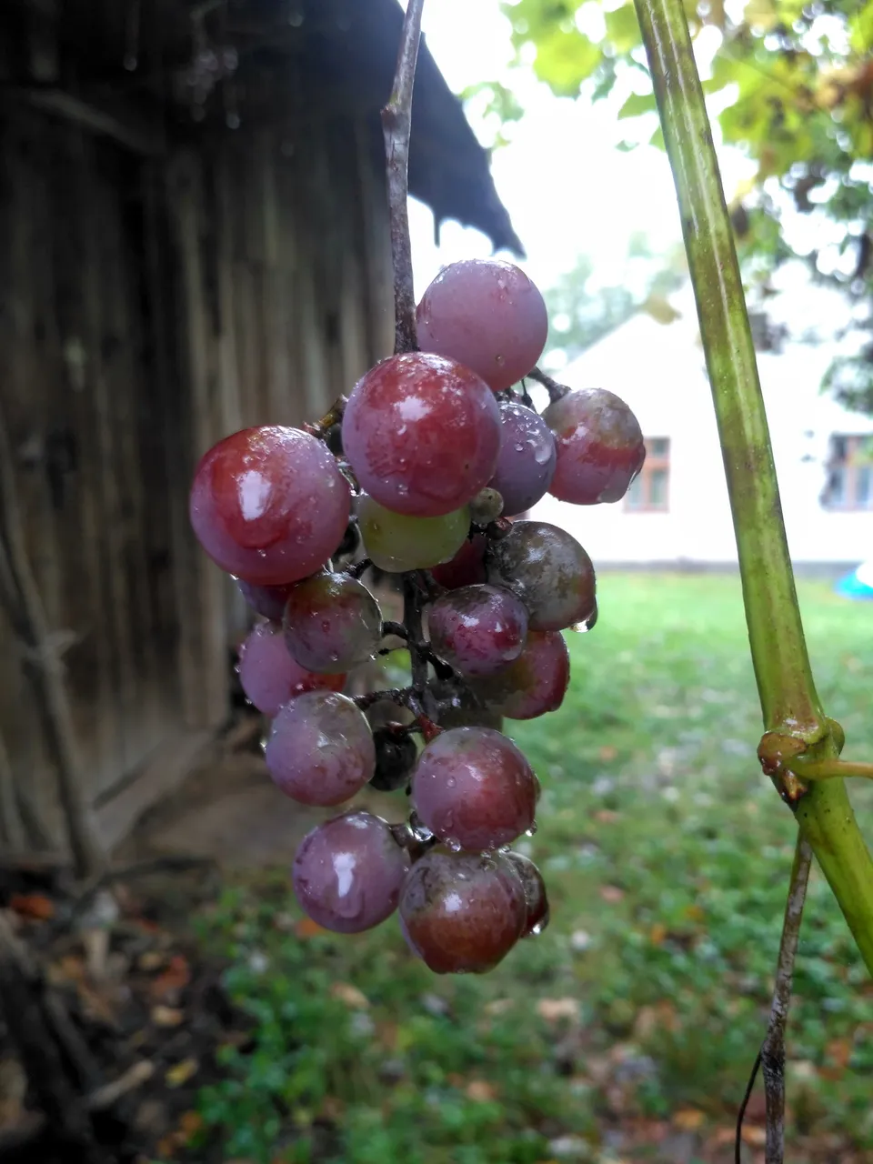 IMG_20200930_123334_HDR.jpg