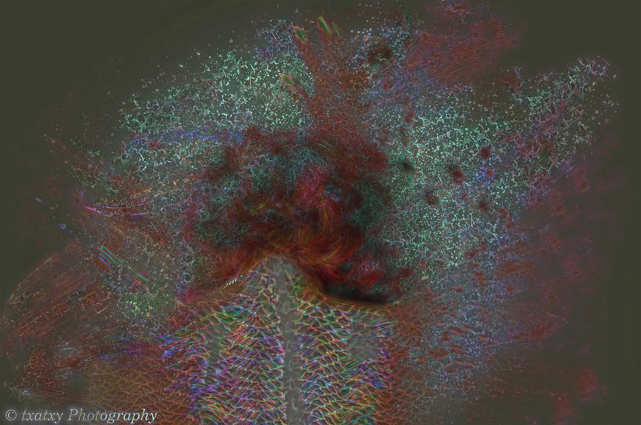 mia lagarto  dispersion001 .jpg