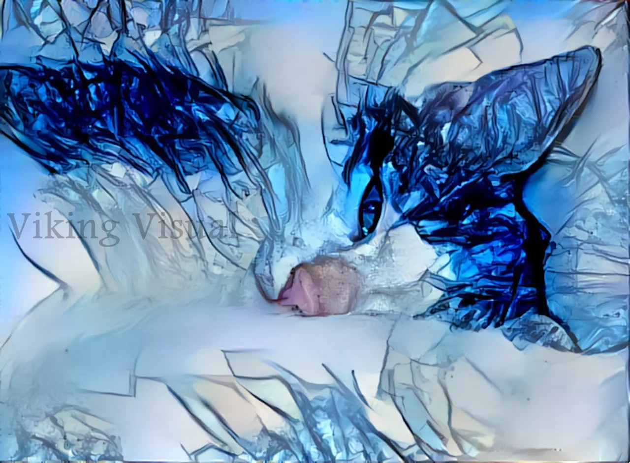 blue_dream_kitten_1600.jpg