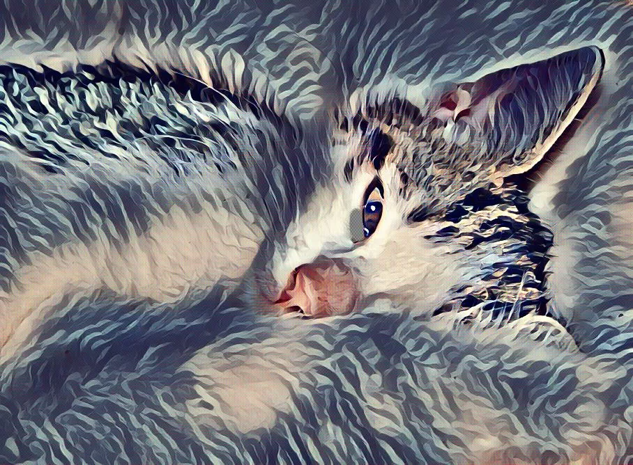 imageedit_3_4352513731.jpg
