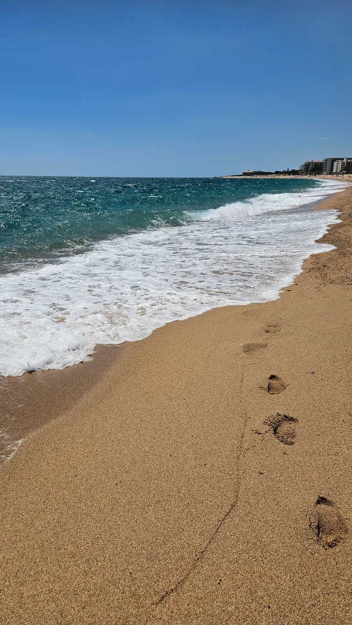 A walk along the sandy seashore