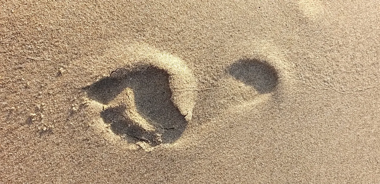 footprint_12u.jpg