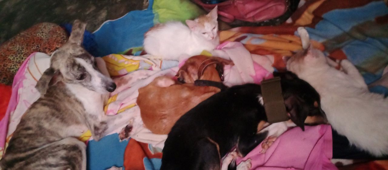 My introduction to this wonderful world