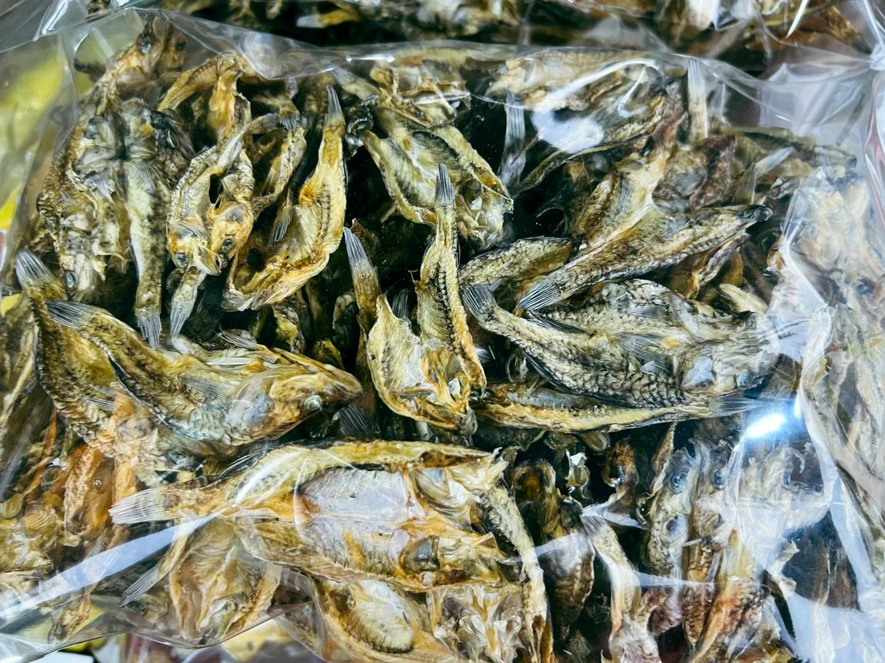 The Famous Dried Fish Pedjanga From Lake Mainit