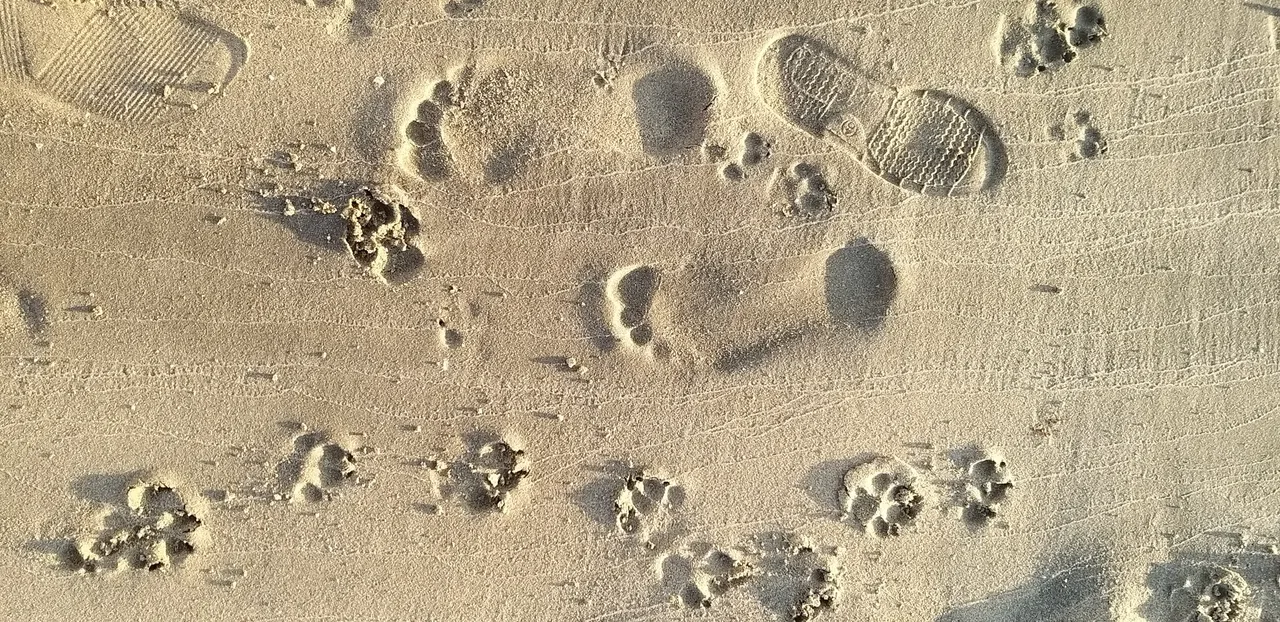 footprint_11u.jpg