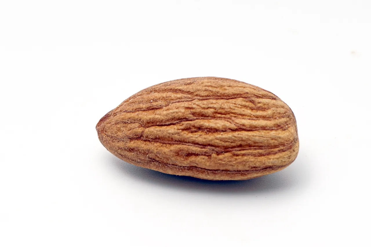 Almonds (26).jpg