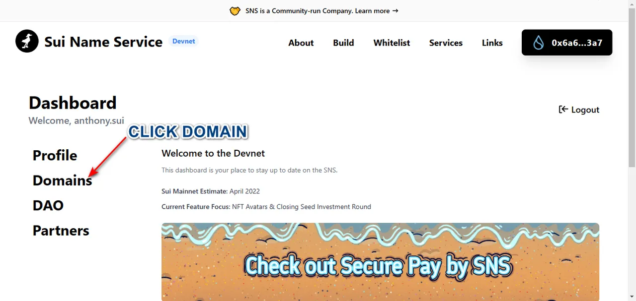 Click Domain.png