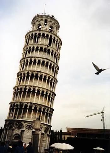 images (48).jpeg