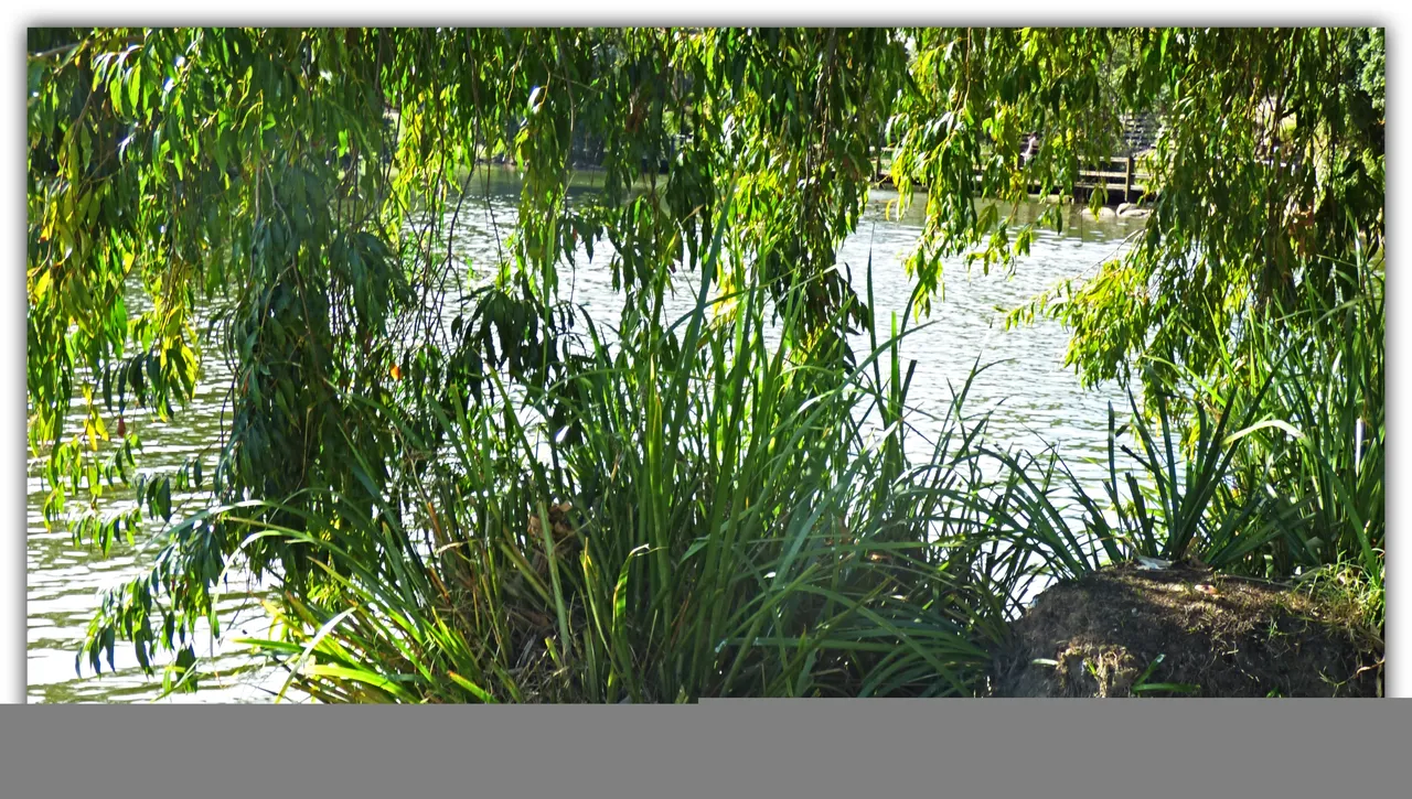 LAKE SCENERY.jpg