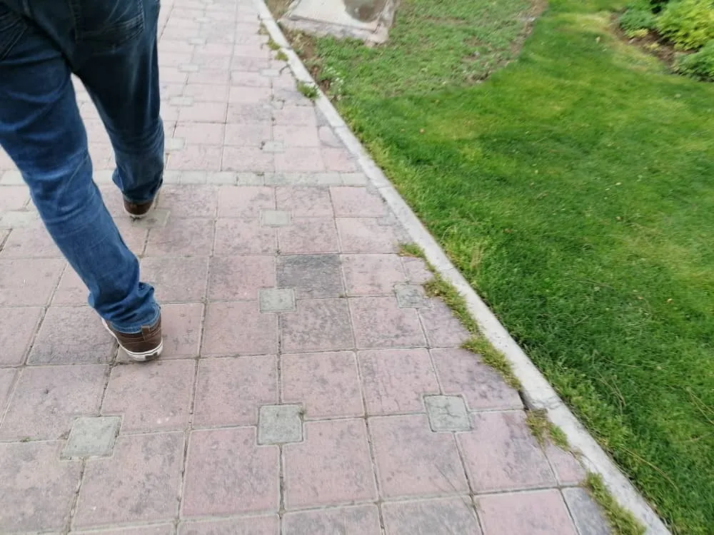 parkasbi3 (5).jpeg