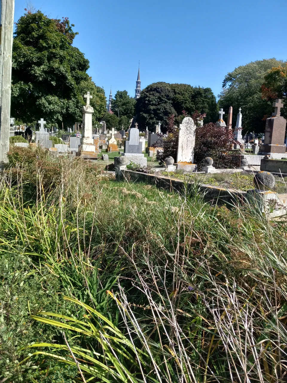 graveyard-joli.jpg