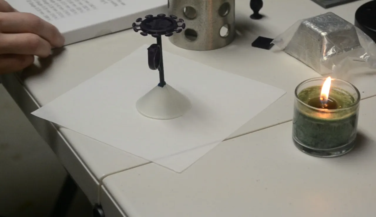 Wax tree 3.PNG