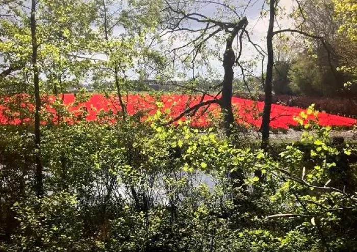 " " \"tulip fields.jpg\"""