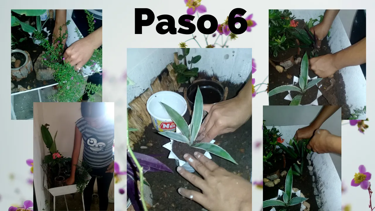 Paso 6 (1).png