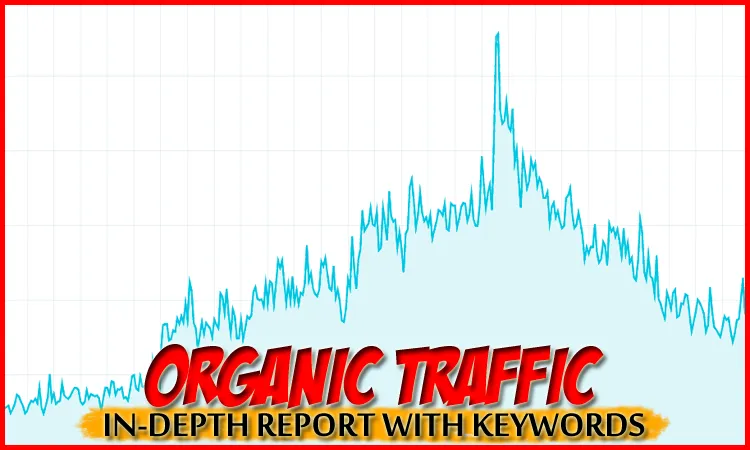 organictraffic.png