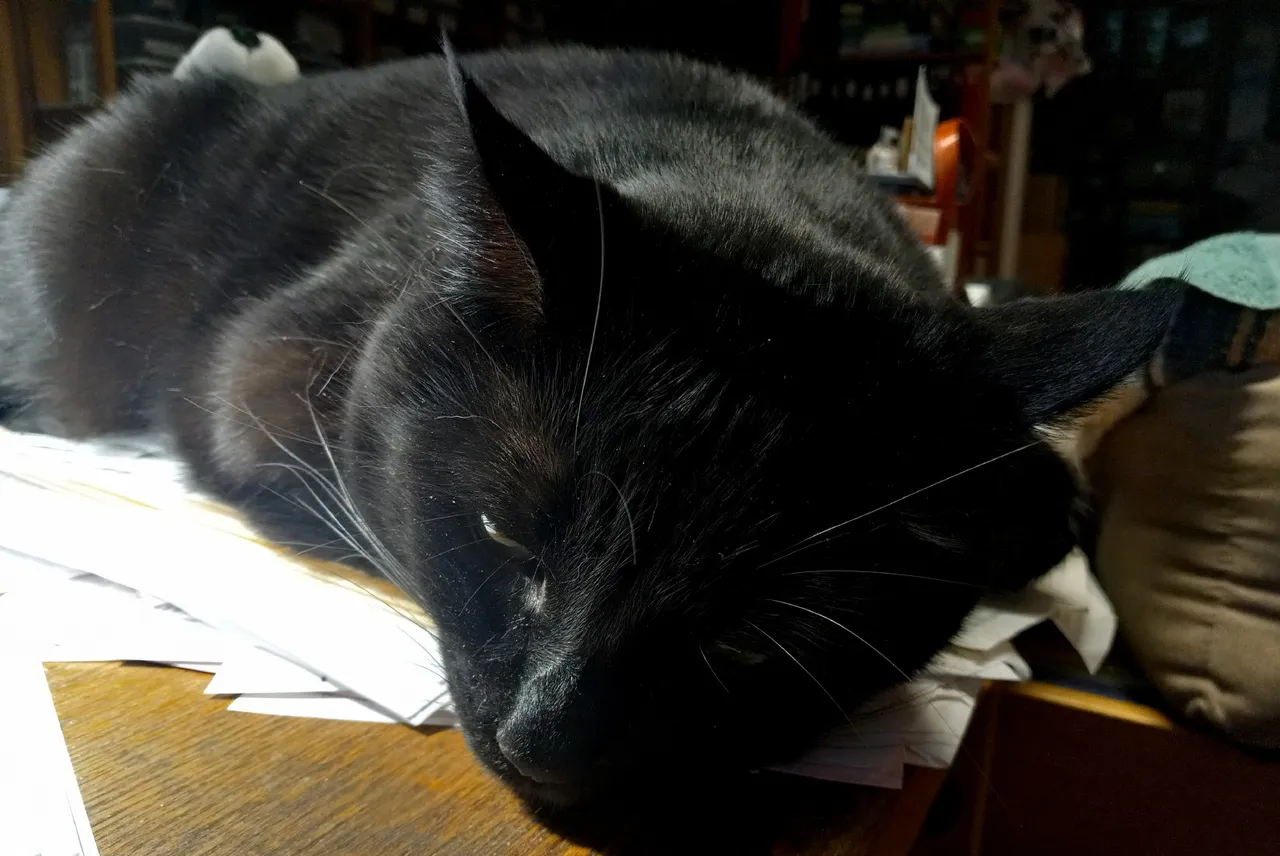 CC0504Naptime.jpg