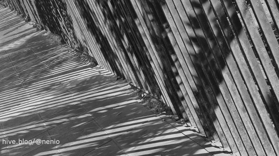 shadows-001-bw.jpg