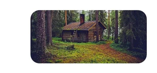 cabin-in-woods.jpg