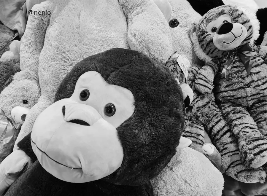 peluches-01-bw.jpg