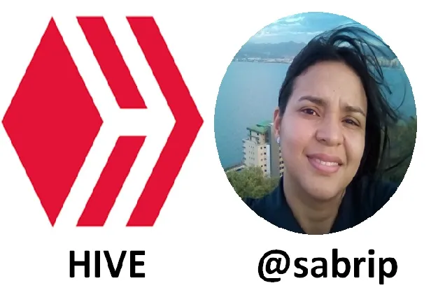 hive @sabrip.jpg