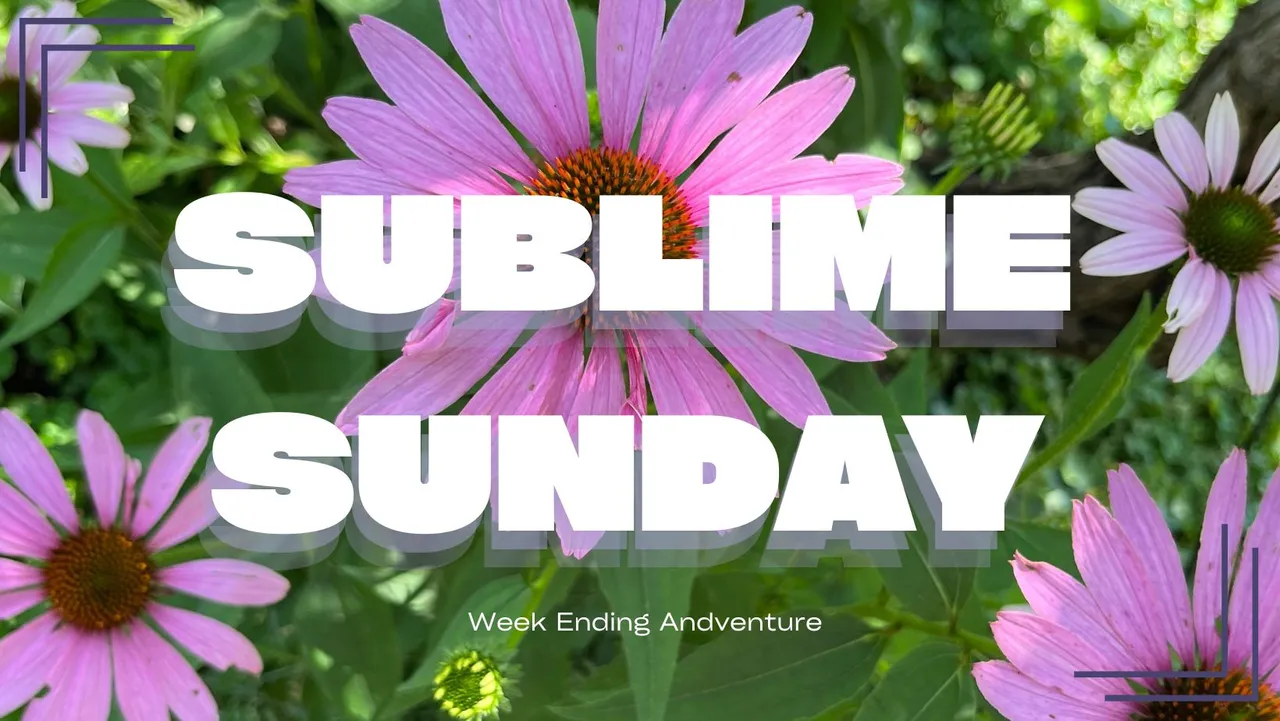 sublimesunday7.jpg