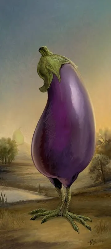 images (11).jpeg