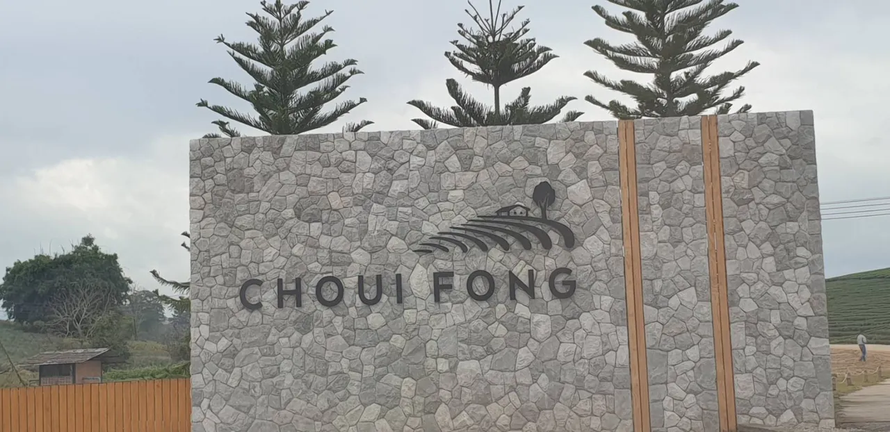 Choui Fong15.jpg