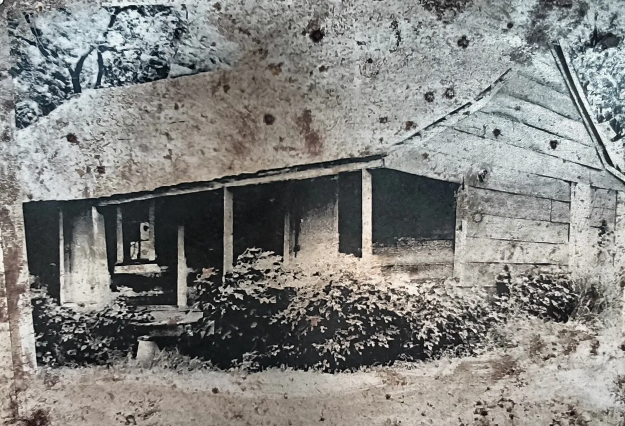 Muddy Waters cabin
