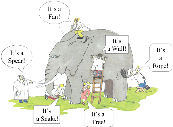 Lessons from the Blind men and the elephant