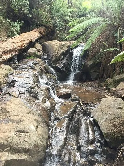 waterfall 2.jpg