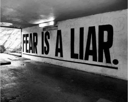 images (13).jpg
