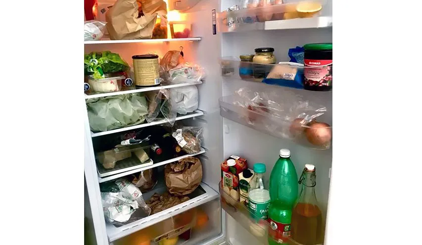 2 - frigo.jpg