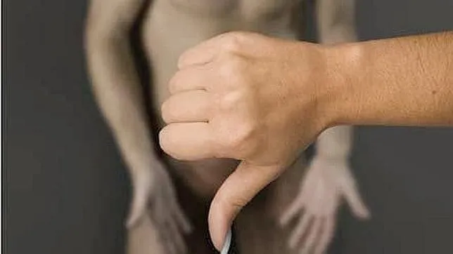 erección.jpg