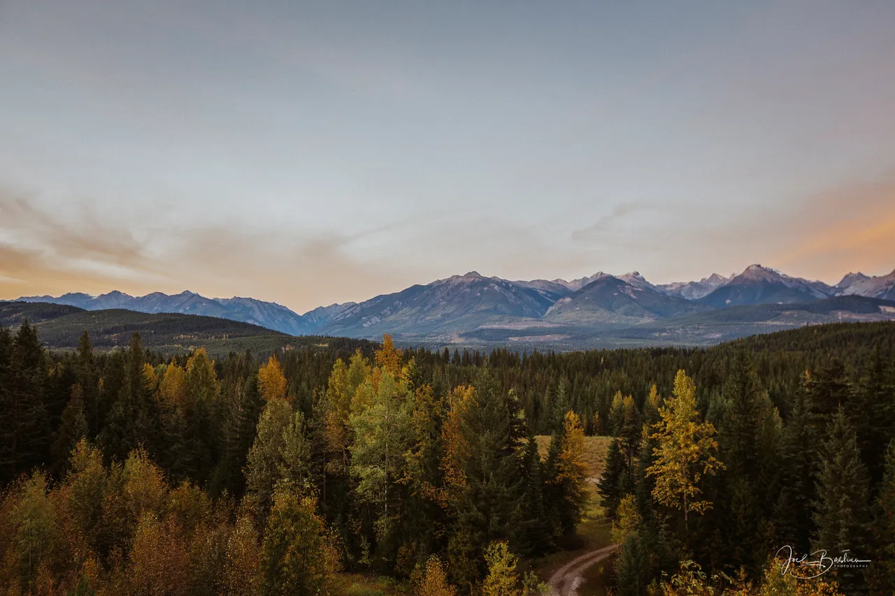 Alberta2016-1.jpg