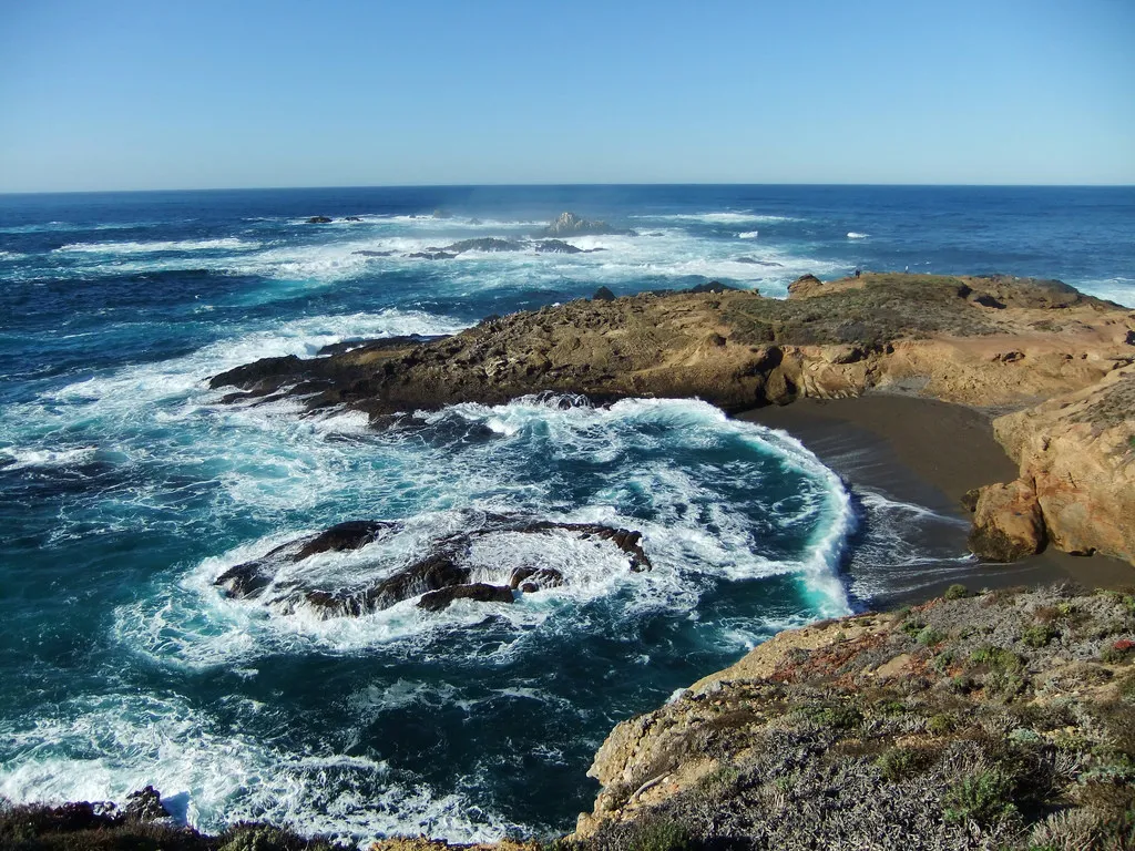 point lobos.jpg