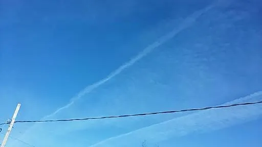 1491002267440.jpg