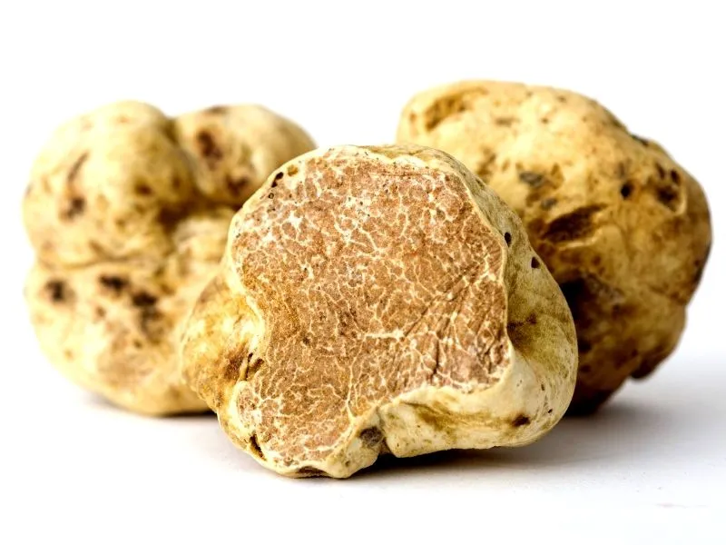 white-truffle.jpg