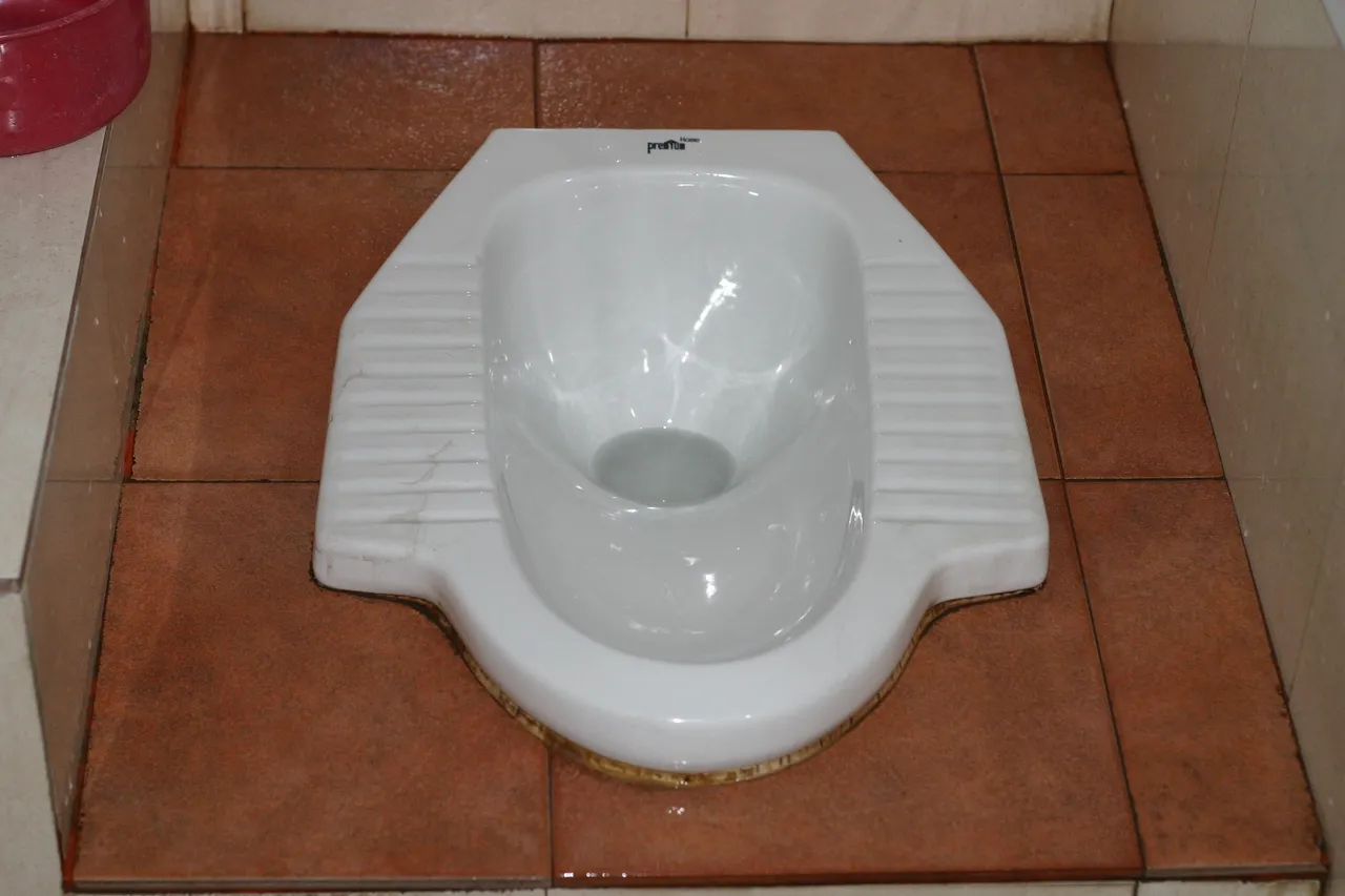 Thai Toilet.jpg