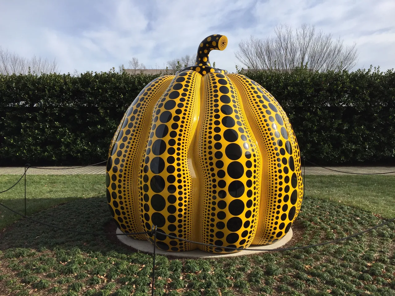 kusamapumpkin.jpg