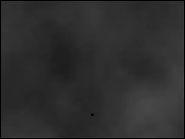 Loneliness.P3.png