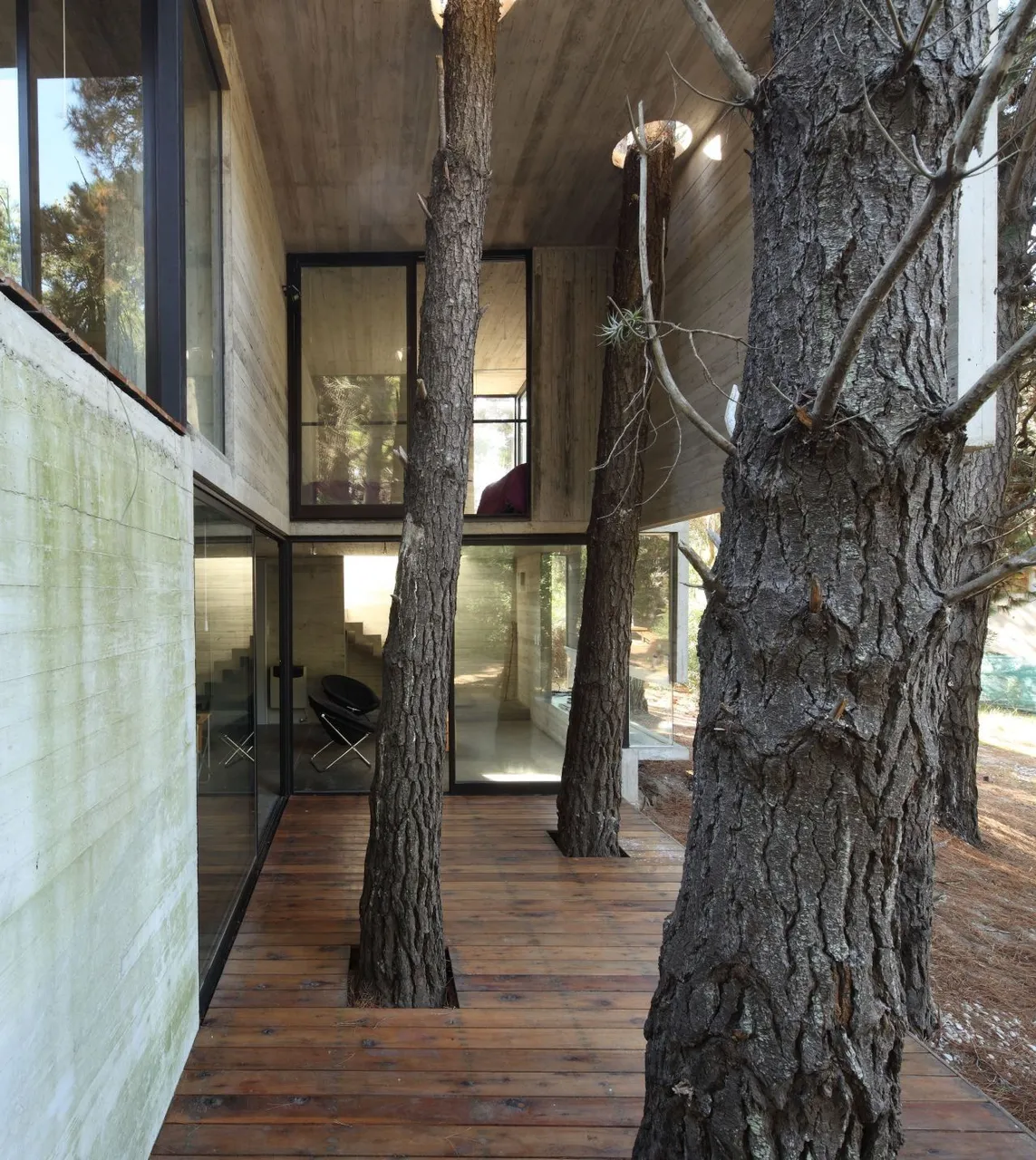 Casa_Franz_02.jpg