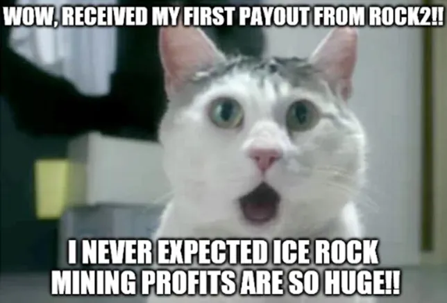 Cat payouts.jpg