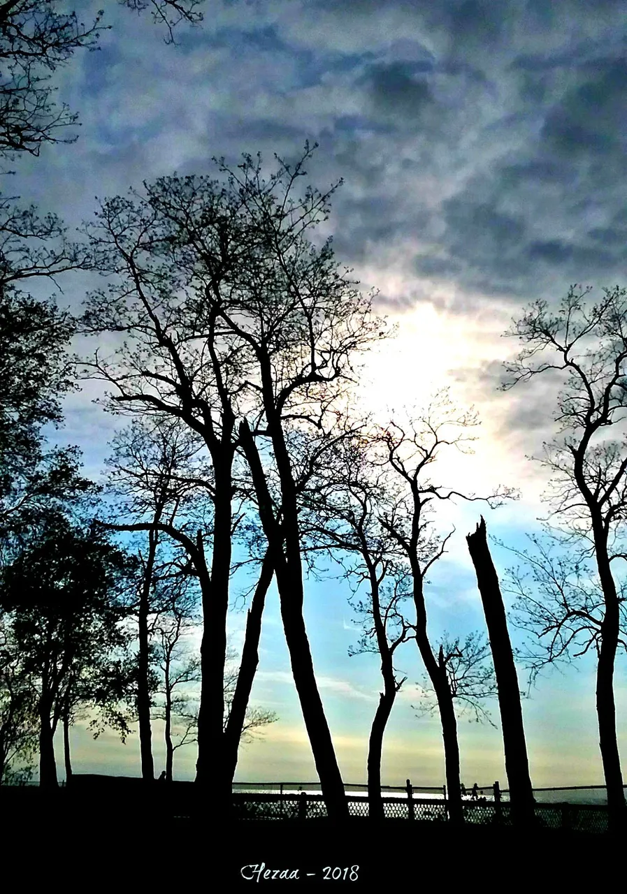 heavens011218.jpg