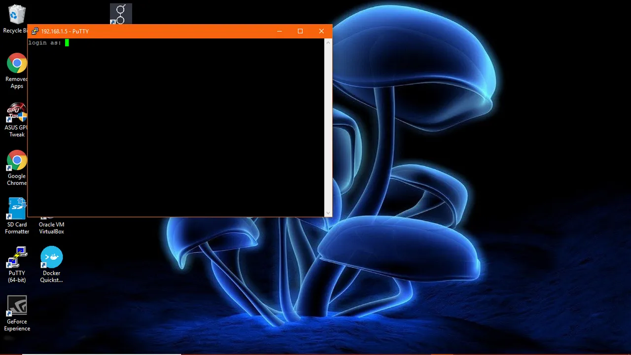 putty login.png