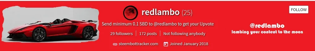 Lambo cover.png