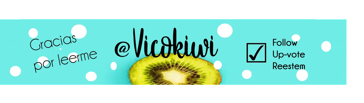 banner kiwi.png