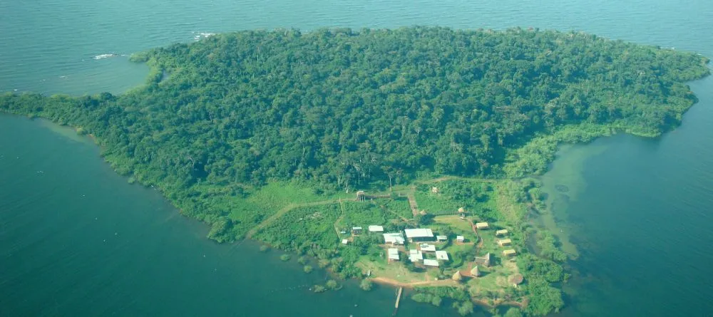 ngamba-island.jpg