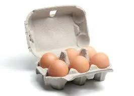 egg-cartonjpg.jpg