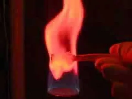 images (4).jpeg